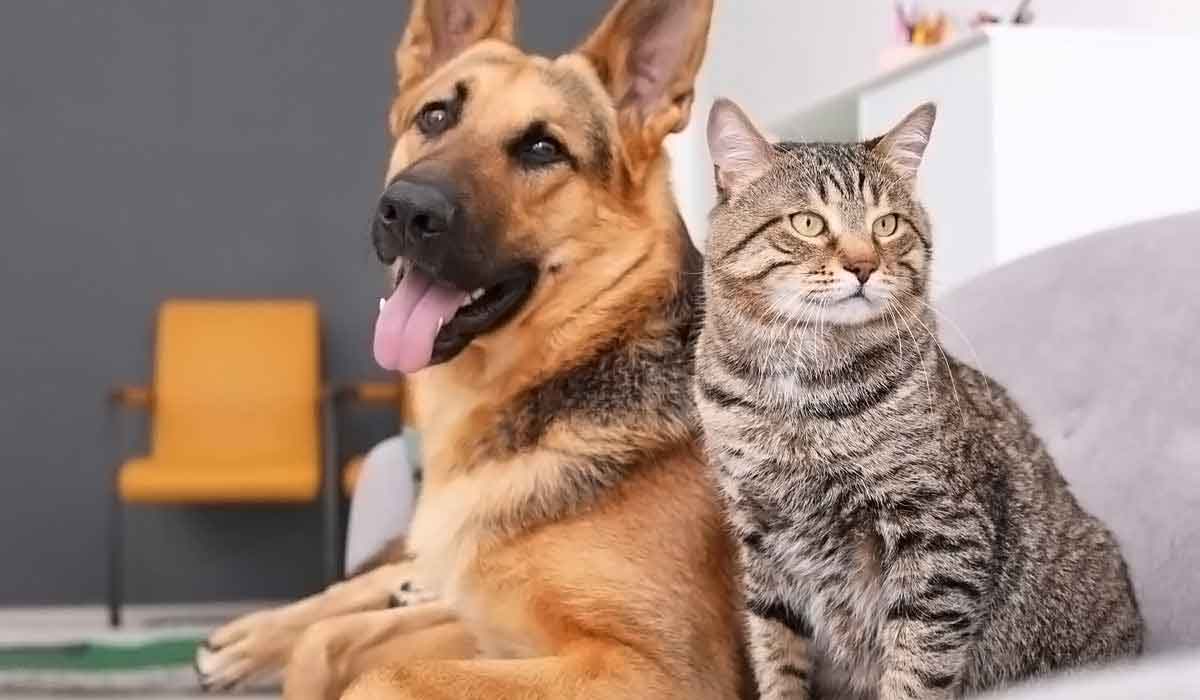 ddos流量攻击购买