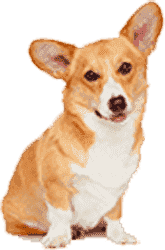 软件门户快速的平台在线ddos压力测试