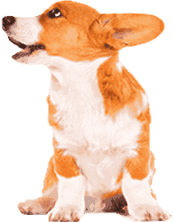 ip攻击器网页版